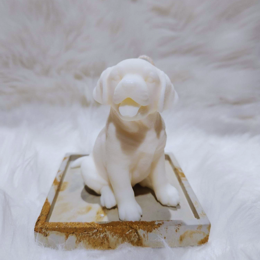 Toby (Labrador)